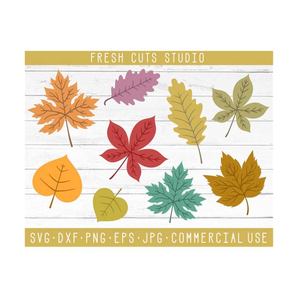 MR-81020236720-fall-autumn-leaf-svg-leaves-instant-download-design-image-1.jpg