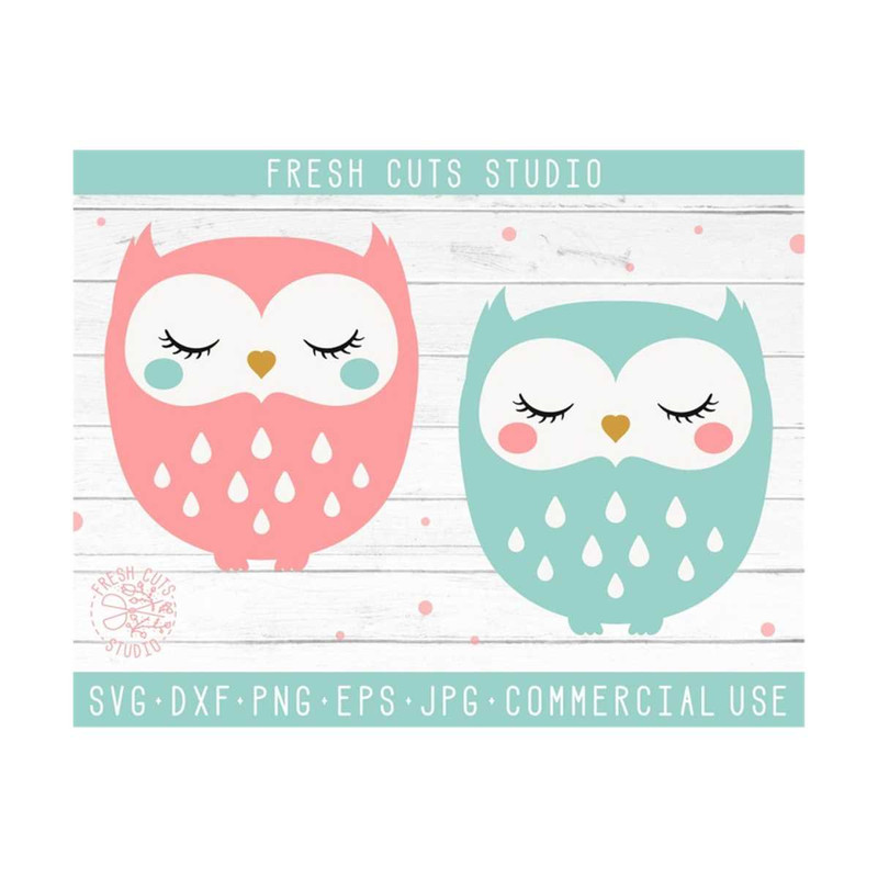 MR-81020236217-owl-svg-cut-files-instant-download-design-cutting-files-baby-image-1.jpg