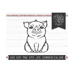 pig svg baby cut file, hand drawn pig svg, piglet svg, baby pig svg, eyelashes, farm svg, farm life svg, girl pig svg, i