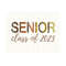 MR-810202395321-senior-2023-rainbow-leopard-sublimation-designs-downloads-image-1.jpg