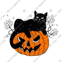 pumpkin black cat halloween costume scary witch fall season svg, pumpkin halloween svg, black cat halloween svg, hallowe