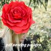 Red Rose on the head.jpg