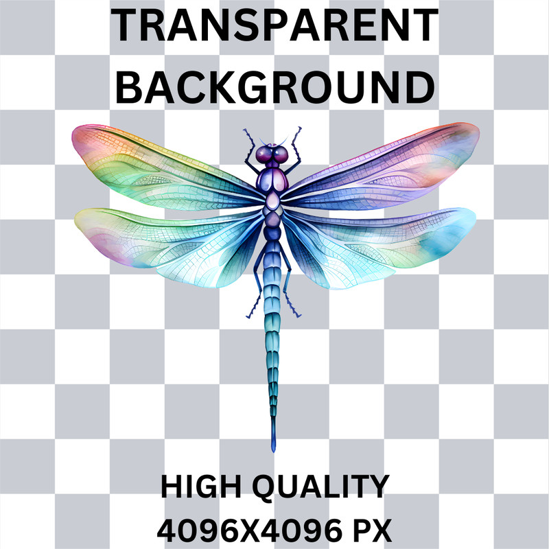 8.png