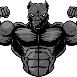 pit bull png,angry pitbull,muscular jpg pit bull,bodybuilding pitbull,fitness,body,weight ,weightlifting,gymnastics,gym,