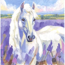 white horse in a lavender field. original gouache painting 8x8''
