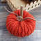 Pumpkin 7.jpg