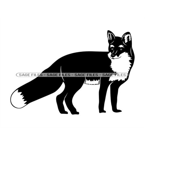 Fox Photo Svg Fox 6 SVG, Fox SVG, Fox PNG, Fox Design, Fox Clipart, Fox Cu - Inspire ...