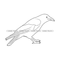 raven outline svg, raven svg, crow svg, raven clipart, raven files for cricut, raven cut files for silhouette, png, dxf