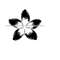 MR-910202392951-star-flower-svg-flower-svg-flower-clipart-flower-files-for-image-1.jpg