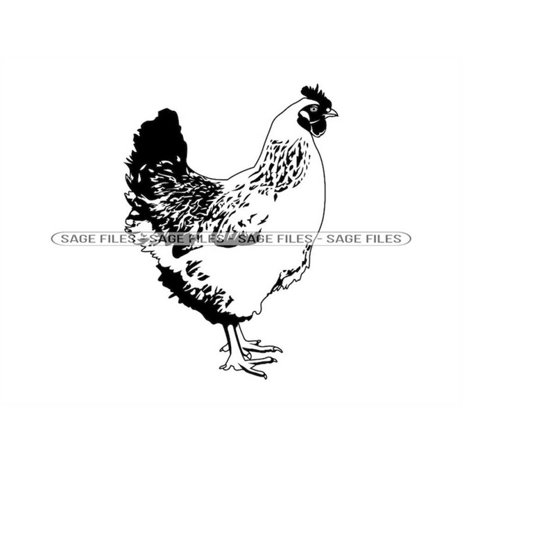 MR-91020239329-chicken-2-svg-chicken-svg-chicken-clipart-chicken-files-image-1.jpg