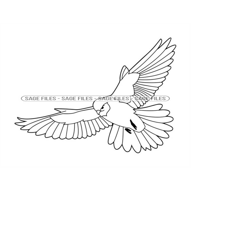 MR-910202393434-kestrel-outline-2-svg-kestrel-svg-bird-svg-kestrel-image-1.jpg