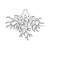 MR-910202394121-roots-outline-svg-roots-svg-tree-roots-svg-family-svg-image-1.jpg