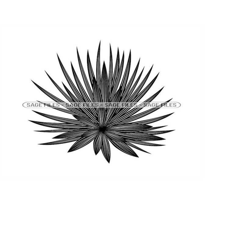 MR-910202310315-agave-plant-svg-agave-plant-clipart-agave-plant-files-for-image-1.jpg