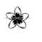 MR-9102023103221-frangipani-flower-svg-flower-svg-decorative-svg-flower-image-1.jpg