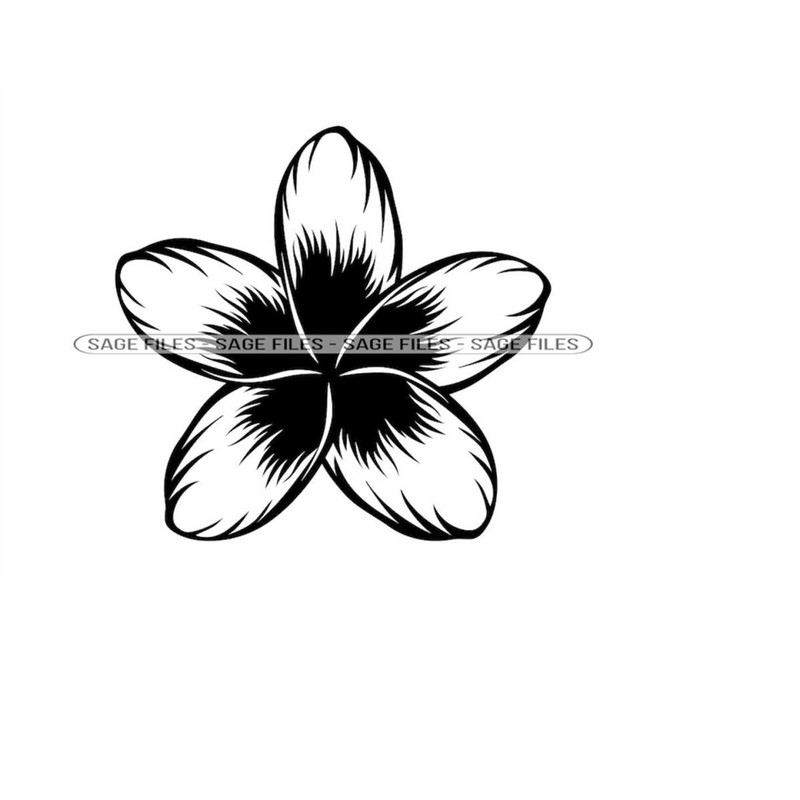 MR-9102023103221-frangipani-flower-svg-flower-svg-decorative-svg-flower-image-1.jpg