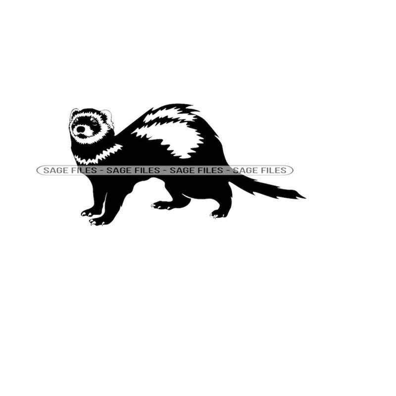 MR-9102023103356-ferret-6-svg-ferret-svg-ferret-png-ferret-design-ferret-image-1.jpg
