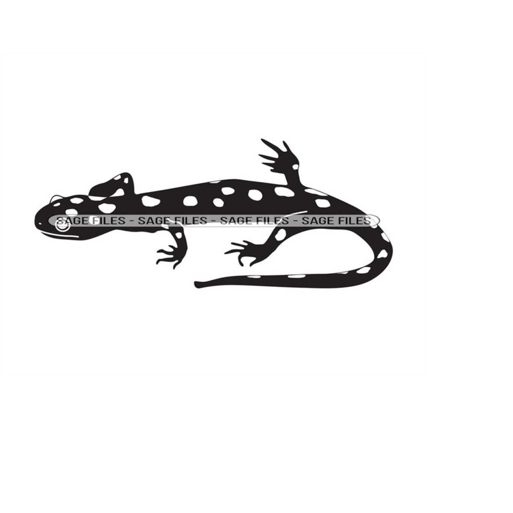 MR-9102023103529-gecko-svg-salamander-svg-lizard-svg-salamander-clipart-image-1.jpg