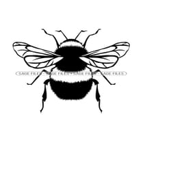 bumblebee 2 svg, bumblebee svg, bee svg, bumblebee clipart, bumblebee files for cricut, bumblebee cut files for silhouet