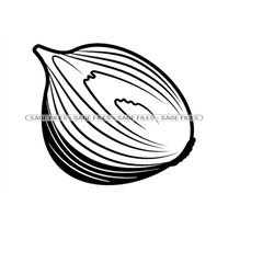 onion svg, vegetable svg, onion clipart, onion files for cricut, onion cut files for silhouette, png, dxf
