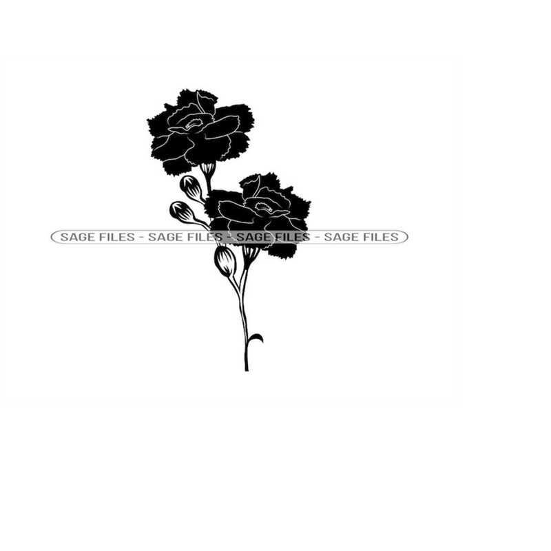 MR-9102023104745-carnation-flowers-svg-flower-svg-flower-clipart-flower-image-1.jpg
