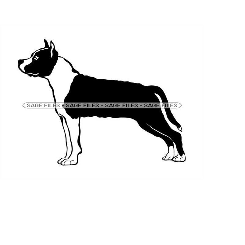 MR-9102023105733-american-staffordshire-terrier-svg-dog-svg-clipart-files-image-1.jpg