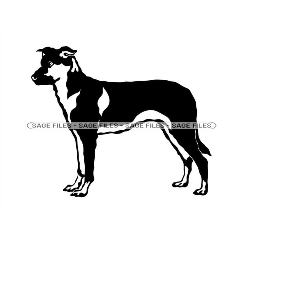 MR-9102023133559-chinook-svg-chinook-dog-svg-dog-svg-clipart-chinook-files-image-1.jpg