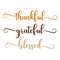 MR-910202313507-thankful-grateful-blessed-embroidery-design-machine-image-1.jpg