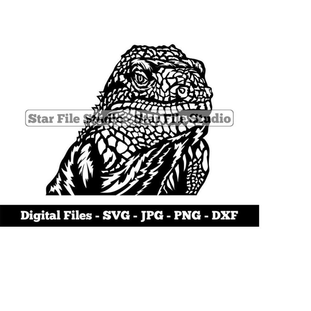 MR-9102023141011-iguana-2-svg-iguana-svg-lizard-svg-reptile-png-reptile-image-1.jpg