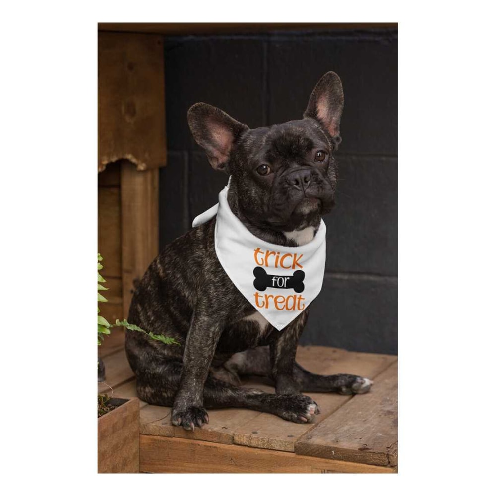 MR-9102023142053-trick-for-treat-bandana-trick-or-bone-pet-accessory-fall-dog-image-1.jpg