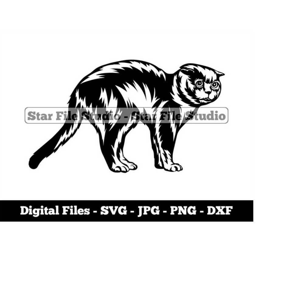 MR-9102023144529-scottish-fold-cat-svg-cat-svg-pet-svg-scottish-fold-png-image-1.jpg
