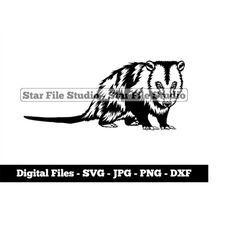 opossum 2 svg, opossum svg, forest animals svg, opossum png, opossum jpg, opossum files, opossum clipart