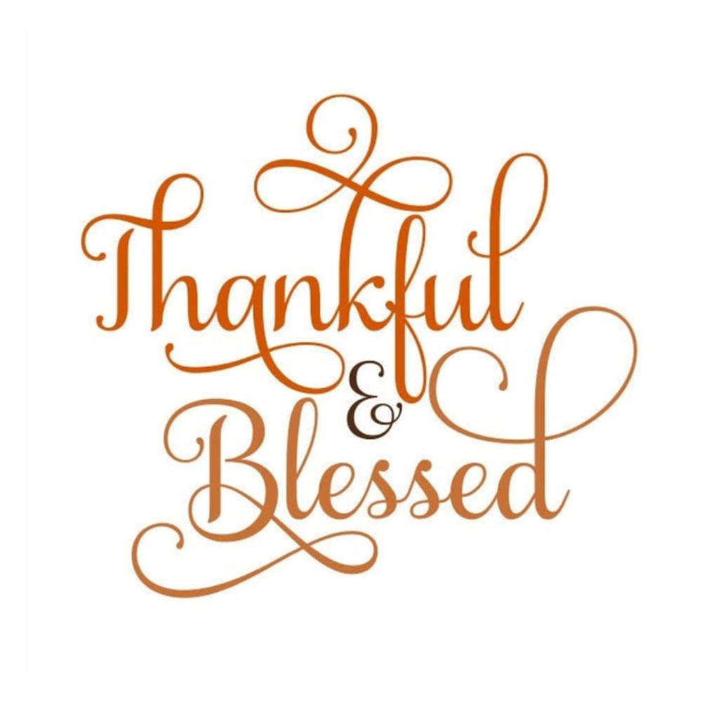 MR-910202315336-thankful-and-blessed-svg-thankful-and-blessed-script-svg-image-1.jpg