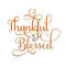MR-910202315336-thankful-and-blessed-svg-thankful-and-blessed-script-svg-image-1.jpg