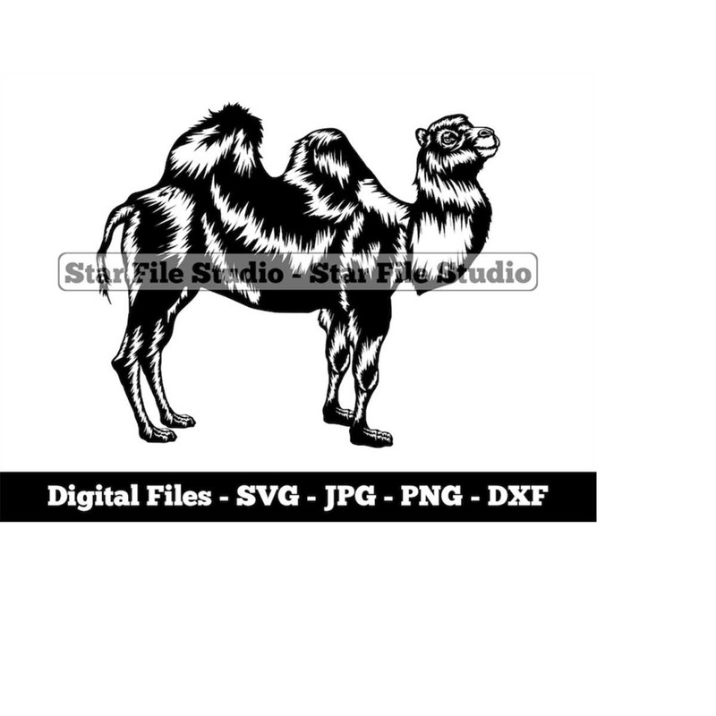 MR-9102023153623-bactrian-camel-svg-camel-svg-desert-animals-svg-camel-png-image-1.jpg