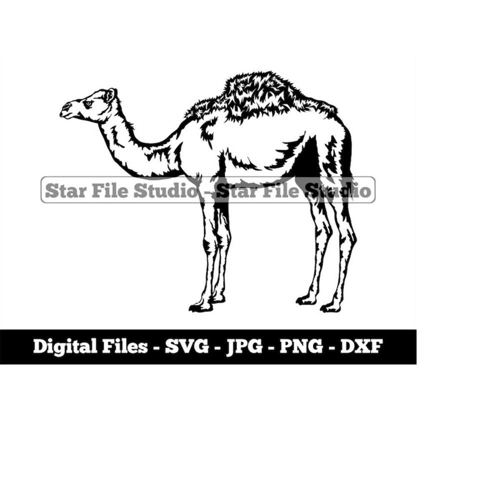 MR-9102023153653-camel-svg-desert-animals-svg-tourism-svg-camel-png-camel-image-1.jpg