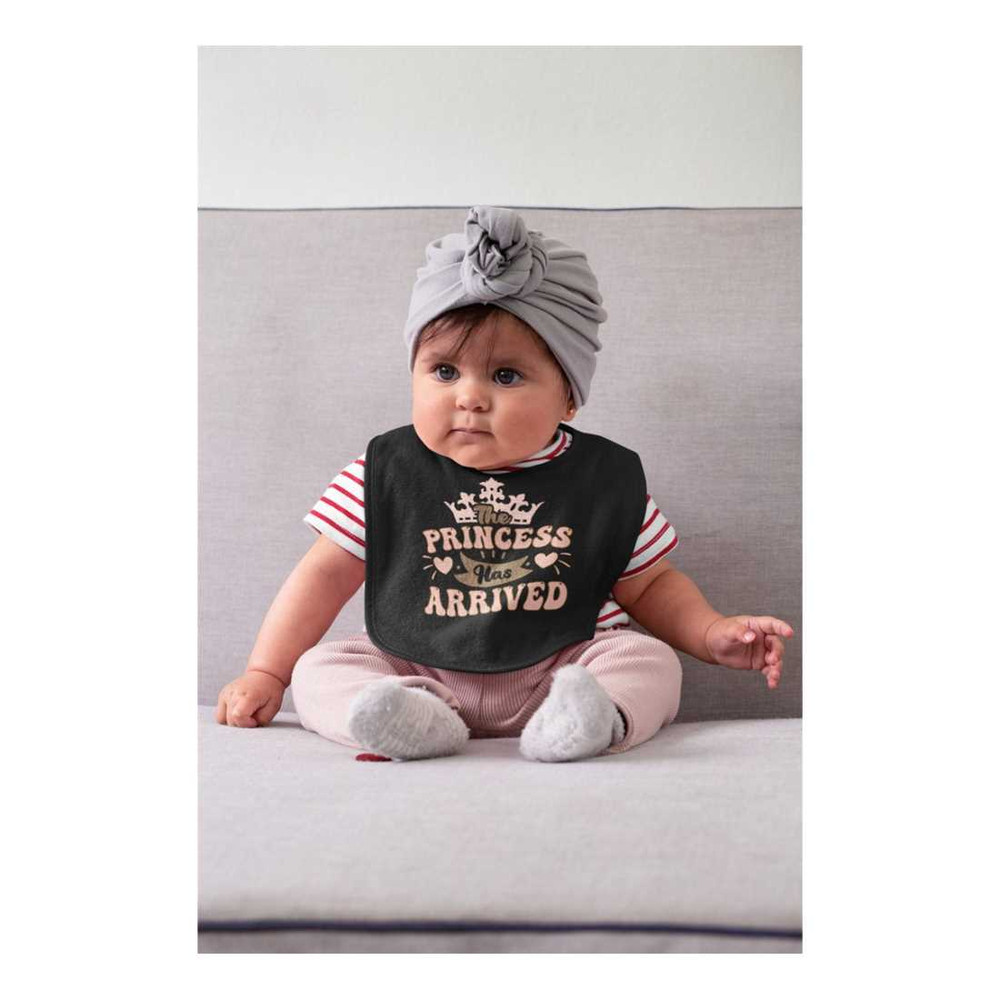 MR-9102023164539-the-princess-has-arrived-baby-bib-baby-girl-cute-bibs-image-1.jpg