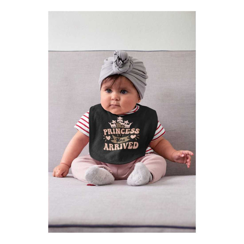 MR-9102023164539-the-princess-has-arrived-baby-bib-baby-girl-cute-bibs-image-1.jpg