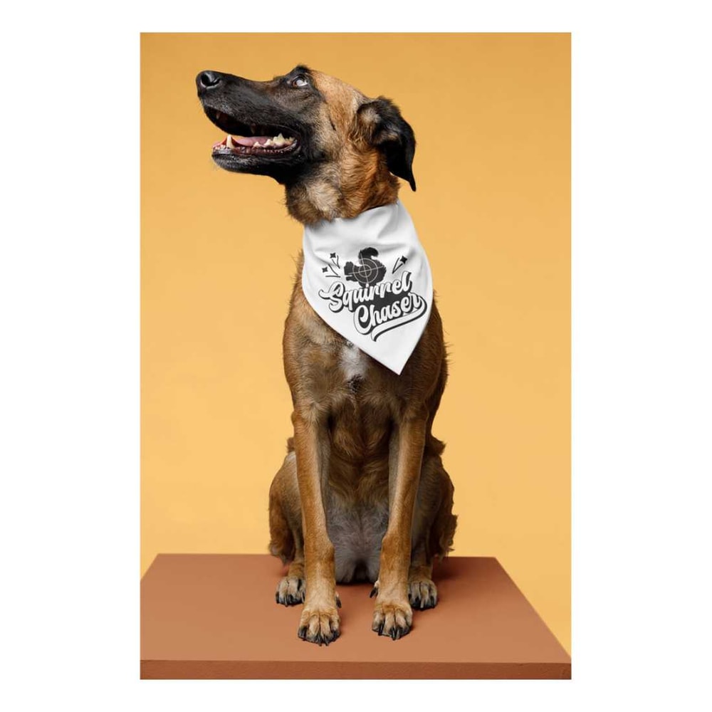 MR-9102023164859-squirrel-chaser-dog-bandana-custom-gift-for-dog-funny-dog-image-1.jpg