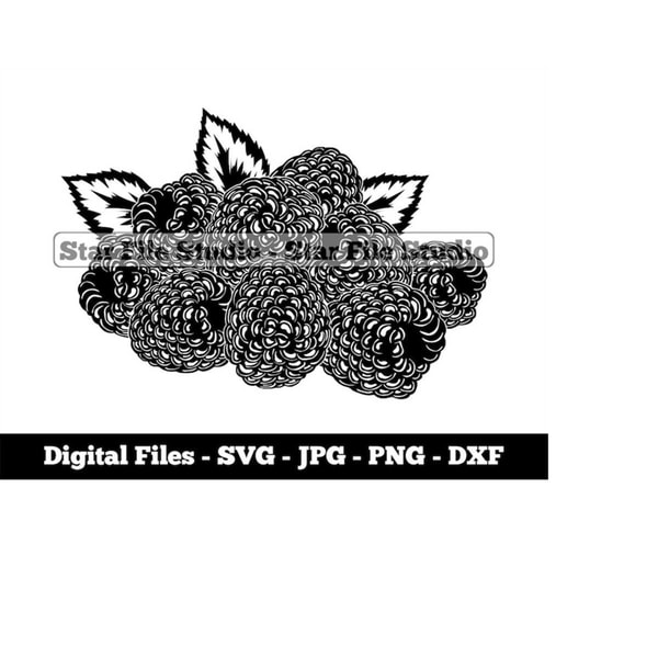 Cartoon Raspberry Svg Raspberry Svg, Berries Svg, Fruits Svg, Raspberry Png, Raspb - Inspire ...