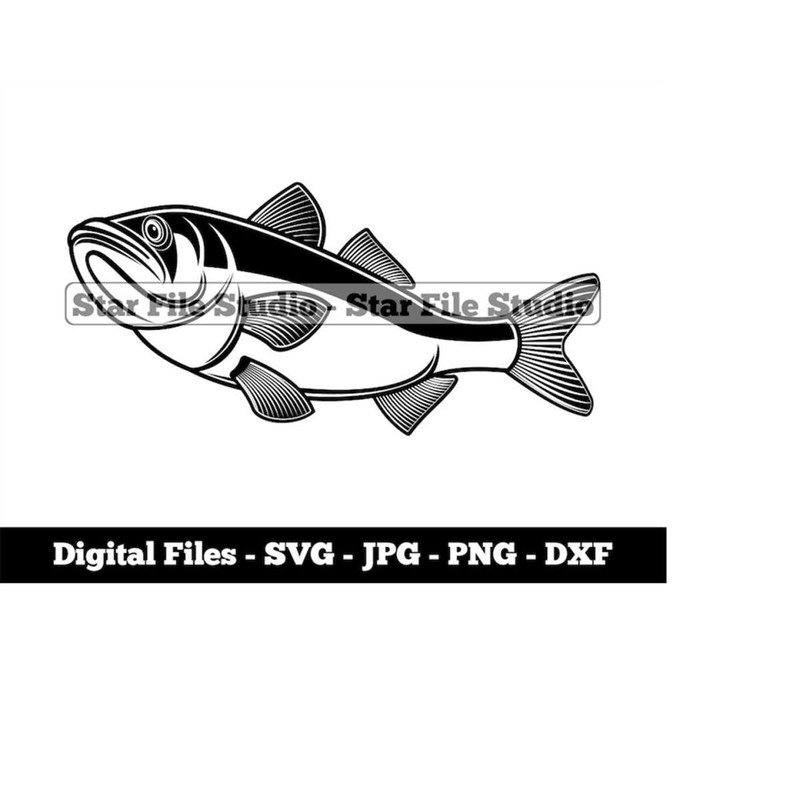 MR-9102023165459-seabass-2-svg-fishing-svg-fish-svg-seabass-png-seabass-image-1.jpg