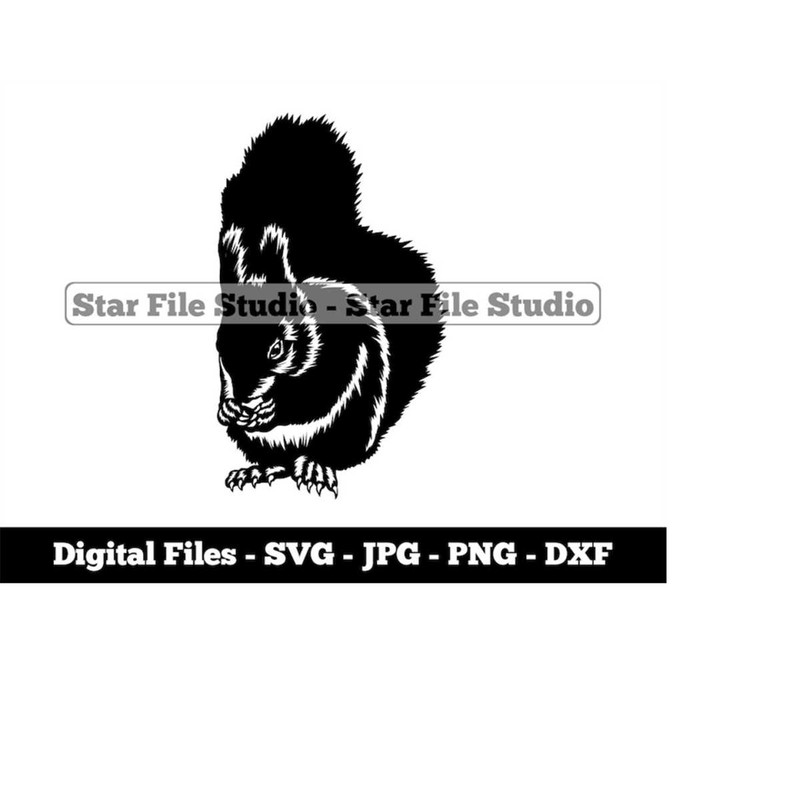 MR-9102023172026-squirrel-3-svg-squirrel-svg-forest-animals-svg-squirrel-image-1.jpg
