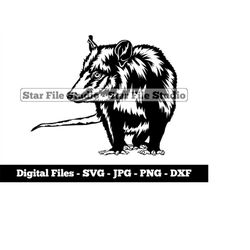opossum 3 svg, opossum svg, forest animals svg, opossum png, opossum jpg, opossum files, opossum clipart