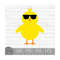 MR-9102023181136-easter-chick-with-sunglasses-instant-digital-download-svg-image-1.jpg