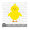 MR-9102023182056-easter-chick-instant-digital-download-svg-png-dxf-and-image-1.jpg