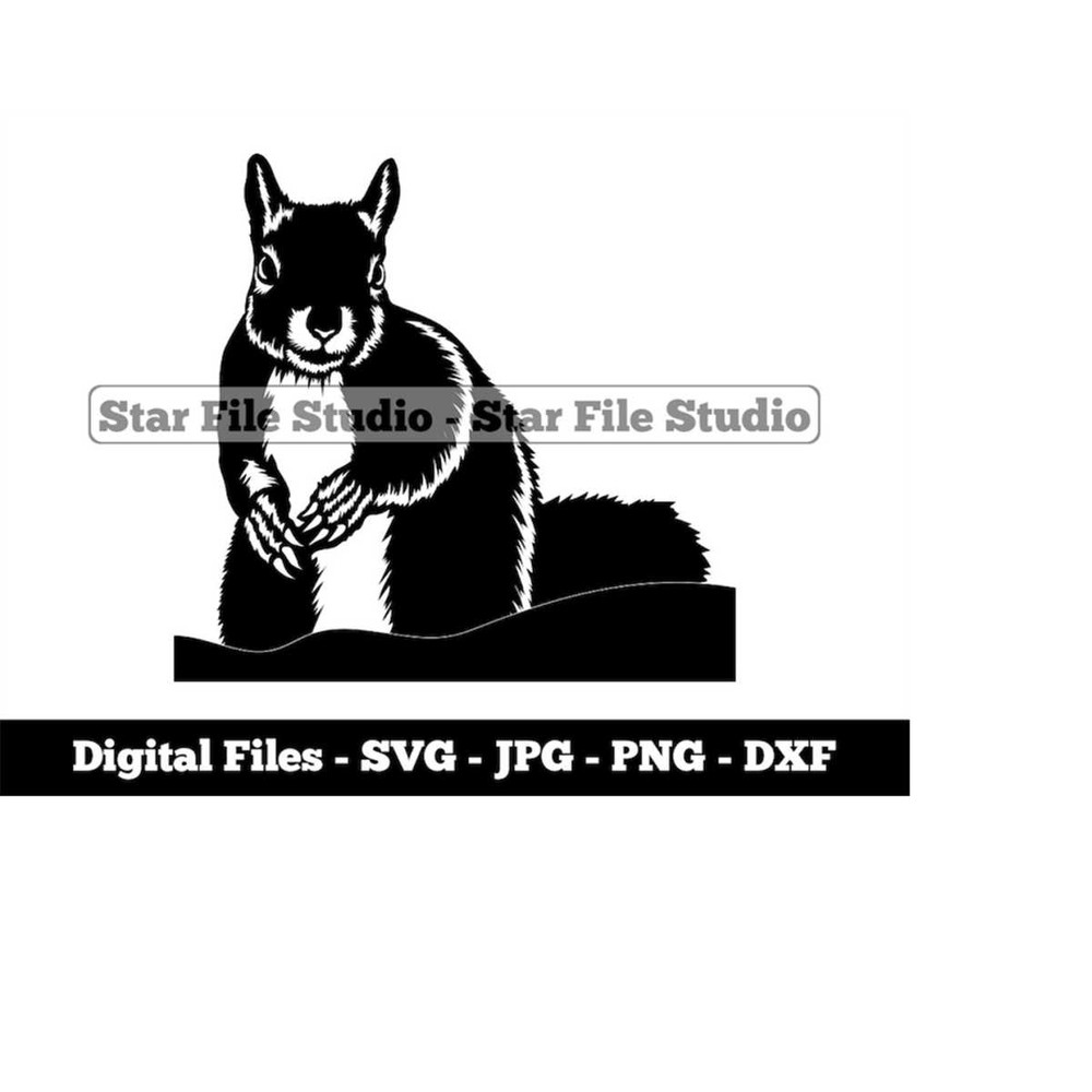 MR-9102023183922-squirrel-4-svg-squirrel-svg-forest-animals-svg-squirrel-image-1.jpg