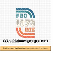pro roe 1973 rainbow svg, png, retro design, pro choice svg, reproductive rights, womens rights svg, pro abortion svg, r