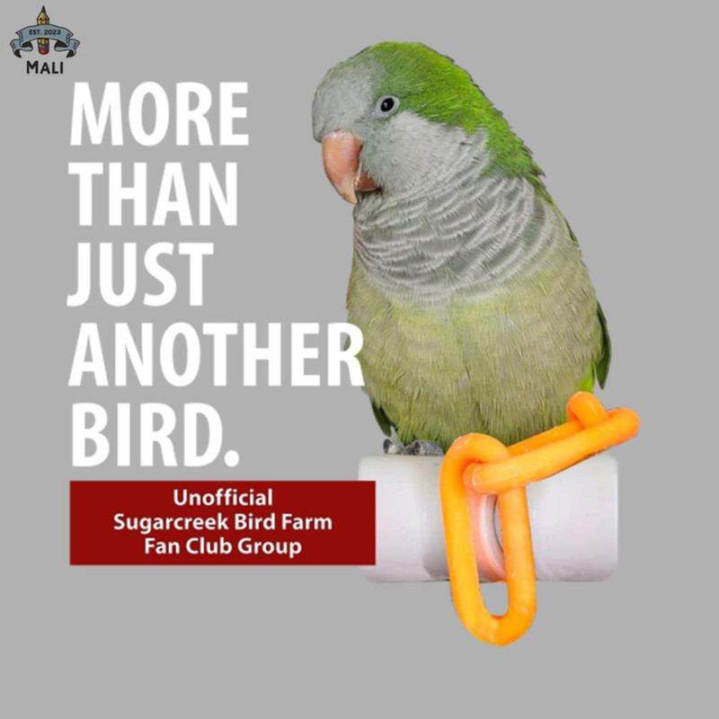 ML0908713-not another bird Sublimation PNG Download.jpg