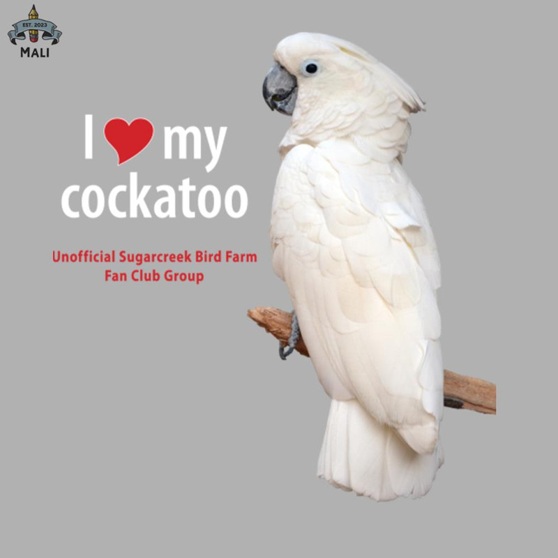 ML0908583-love moluccan cockatoo Sublimation PNG Download.jpg