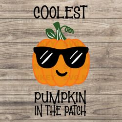 coolest pumpkin in the patch svg, halloween svg, fall svg, thanksgiving design, pumpkin shirt, svg eps dxf png