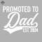 ML0908794-Promoted To Dad Est 2024 - pregnancy announcement for new Dad Sublimation PNG Download.jpg